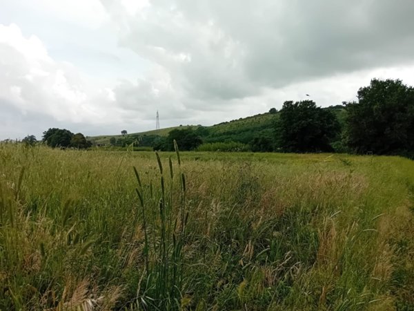 terreno agricolo in vendita a Roccastrada in zona Ribolla