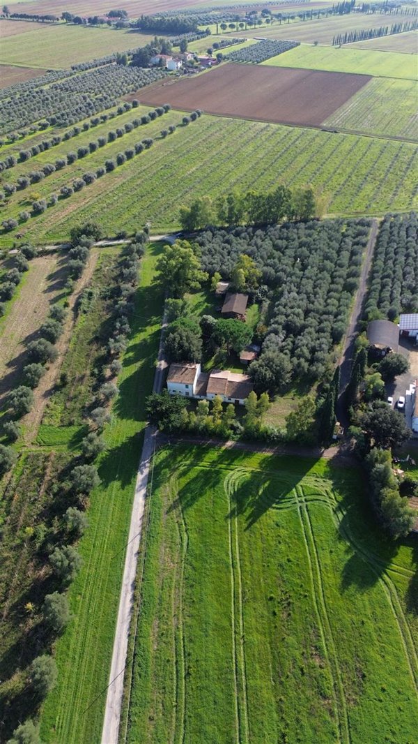 terreno agricolo in vendita a Roccastrada in zona Montemassi