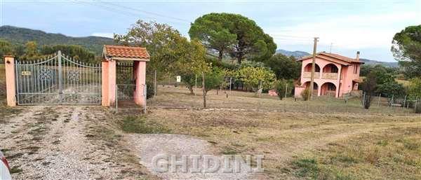 esavano in vendita a Roccastrada in zona Montemassi