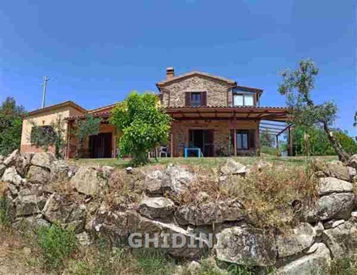 casa indipendente in vendita a Roccastrada in zona Montemassi