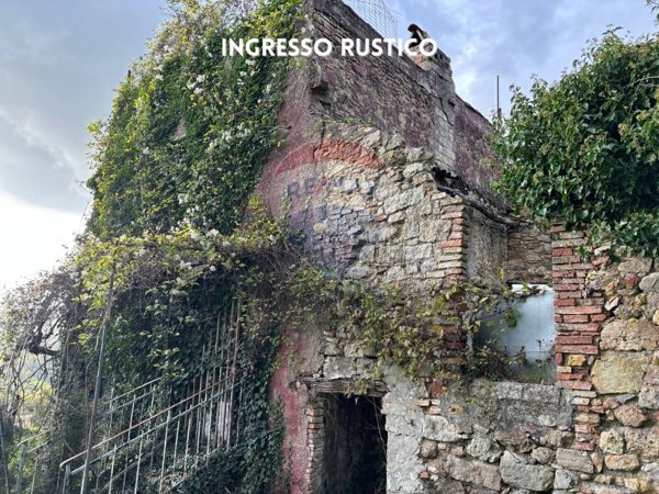pentavano in vendita a Roccastrada in zona Sassofortino