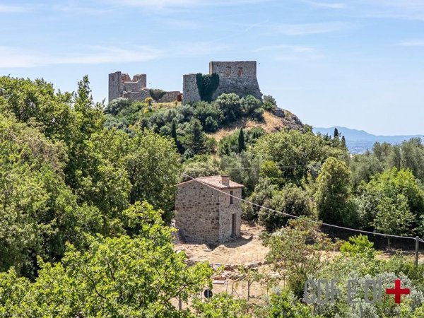 appartamento in vendita a Roccastrada in zona Montemassi