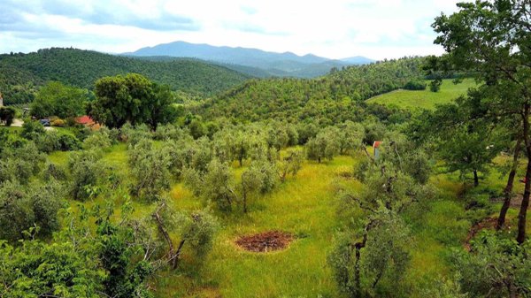 terreno agricolo in vendita a Roccastrada