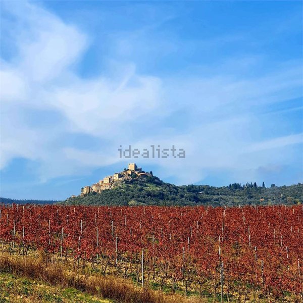 esavano in vendita a Roccastrada