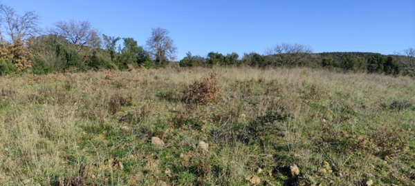 terreno agricolo in vendita a Roccastrada in zona Ribolla