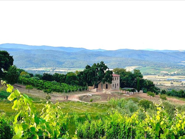casa indipendente in vendita a Roccastrada in zona Montemassi