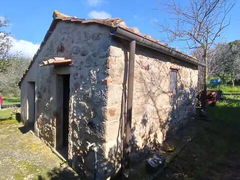 casa indipendente in vendita a Roccastrada