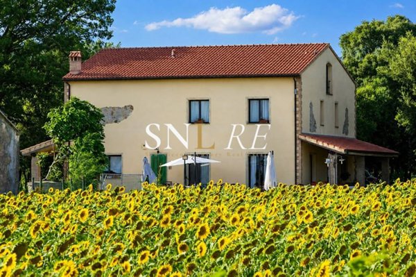 casa indipendente in vendita a Roccastrada in zona Montemassi