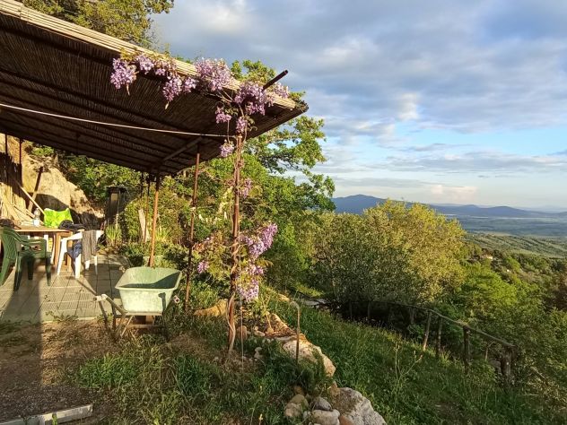 terreno agricolo in vendita a Roccastrada in zona Roccatederighi