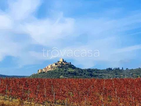casa indipendente in vendita a Roccastrada in zona Montemassi