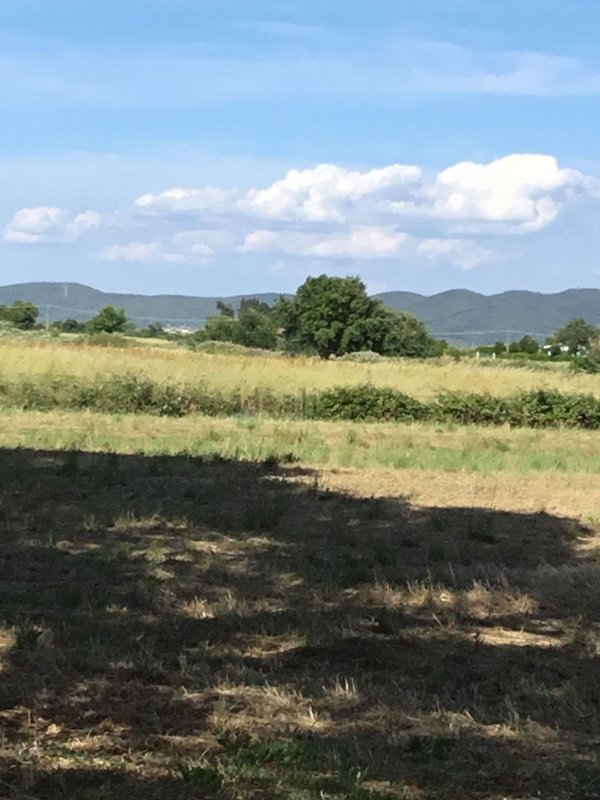 terreno in vendita a Roccastrada
