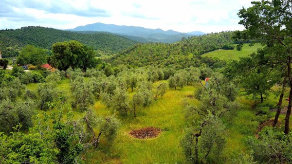 terreno agricolo in vendita a Roccastrada