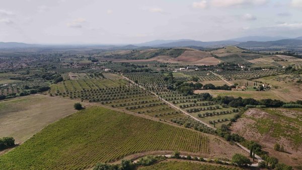 terreno in vendita a Roccastrada in zona Ribolla