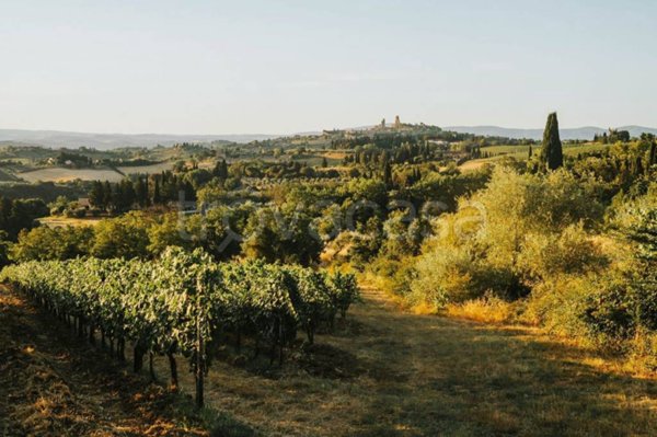 terreno agricolo in vendita a Roccastrada in zona Ribolla