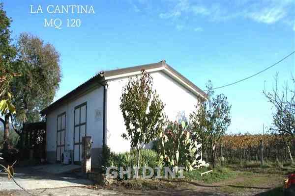 azienda agricola in vendita a Roccastrada in zona Montemassi