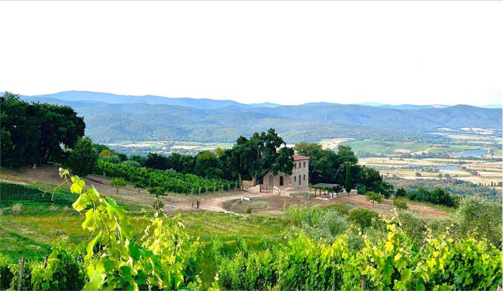 casa indipendente in vendita a Roccastrada in zona Montemassi