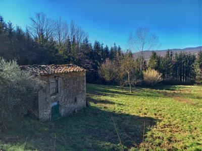 casa semindipendente in vendita a Santa Fiora in zona Selva