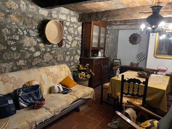 intera palazzina in vendita a Santa Fiora