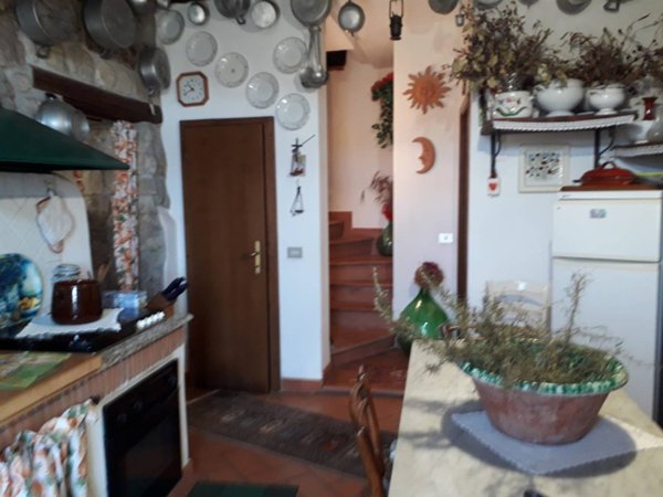 appartamento in vendita a Santa Fiora