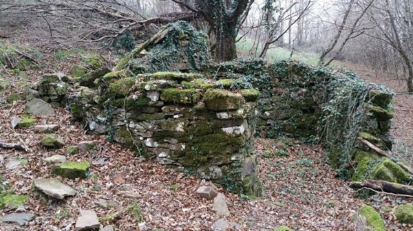 casa indipendente in vendita a Santa Fiora in zona Selva