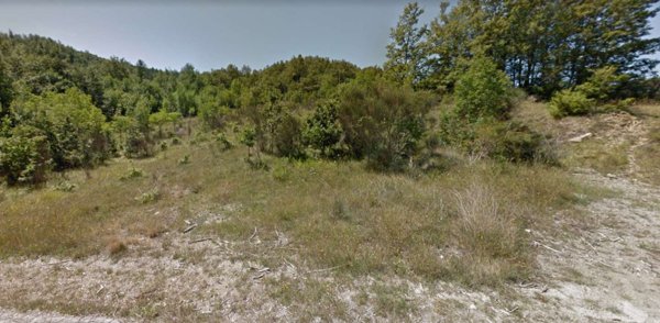 azienda agricola in vendita a Santa Fiora