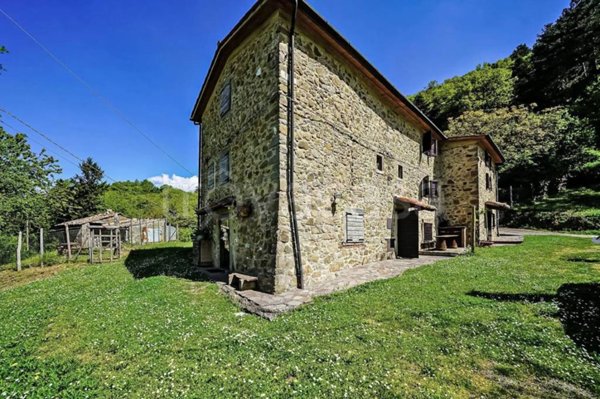 casa indipendente in vendita a Santa Fiora in zona Selva