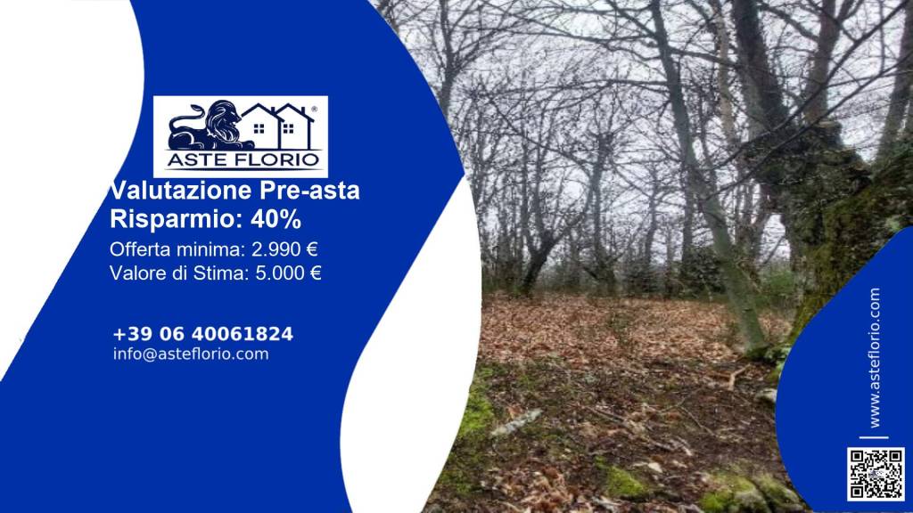 terreno agricolo in vendita a Santa Fiora in zona Bagnolo