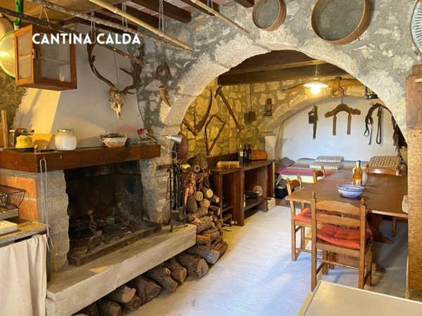 casa indipendente in vendita a Santa Fiora
