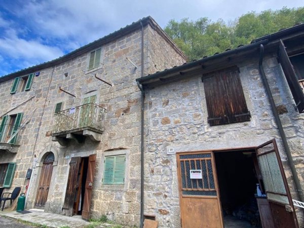 casa indipendente in vendita a Santa Fiora