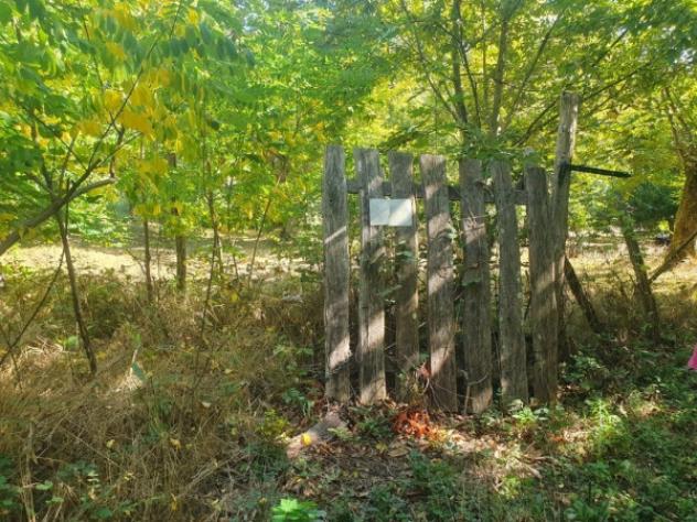 locale commerciale in vendita a Santa Fiora