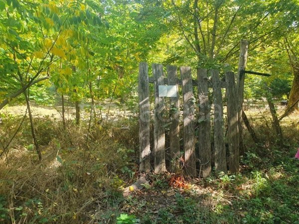 locale commerciale in vendita a Santa Fiora