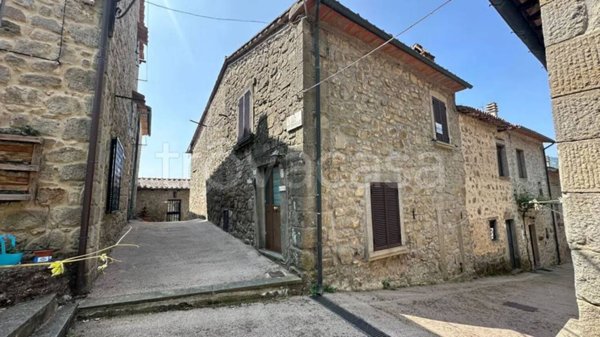 casa indipendente in vendita a Santa Fiora