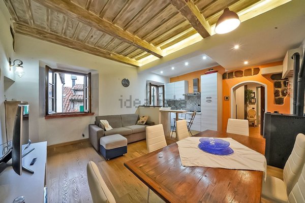 appartamento in vendita a Santa Fiora