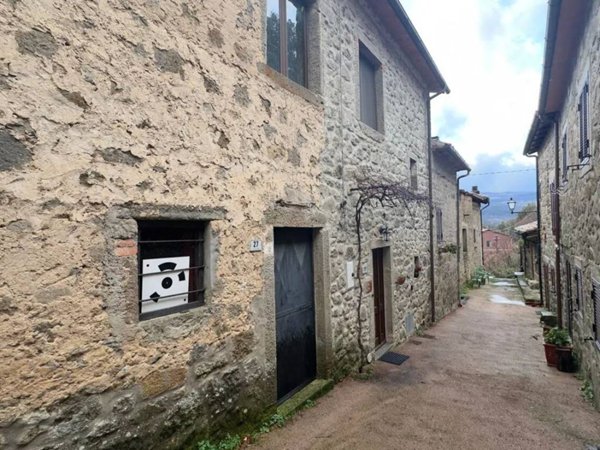 appartamento in vendita a Santa Fiora