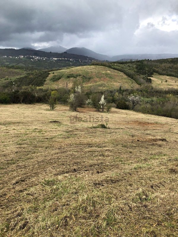 terreno agricolo in vendita a Santa Fiora