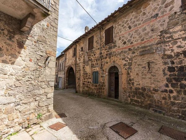 appartamento in vendita a Santa Fiora