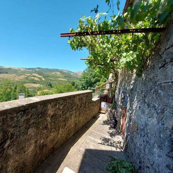 appartamento in vendita a Santa Fiora