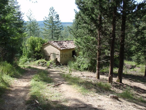 terreno agricolo in vendita a Santa Fiora
