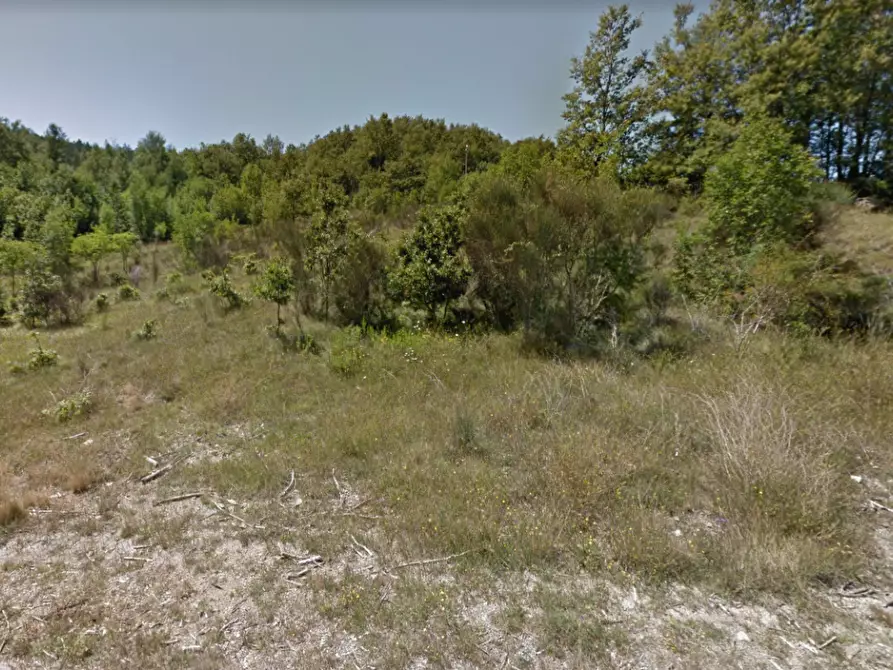 azienda agricola in vendita a Santa Fiora