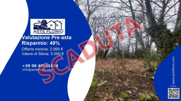 terreno agricolo in vendita a Santa Fiora in zona Bagnolo