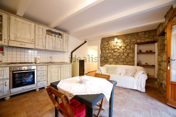 appartamento in vendita a Santa Fiora