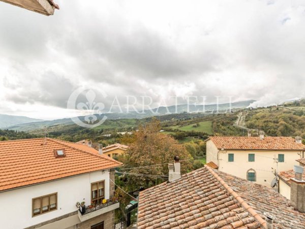 negozio in vendita a Santa Fiora in zona Bagnore