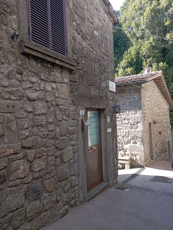 appartamento in vendita a Santa Fiora