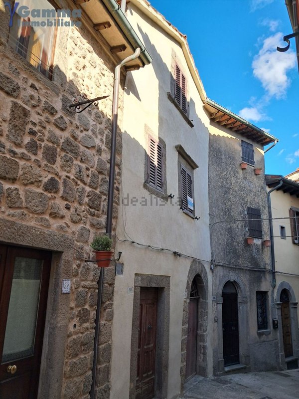 appartamento in vendita a Santa Fiora