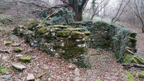 casa indipendente in vendita a Santa Fiora in zona Selva