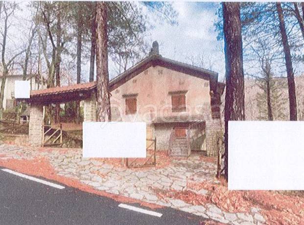 casa indipendente in vendita a Santa Fiora