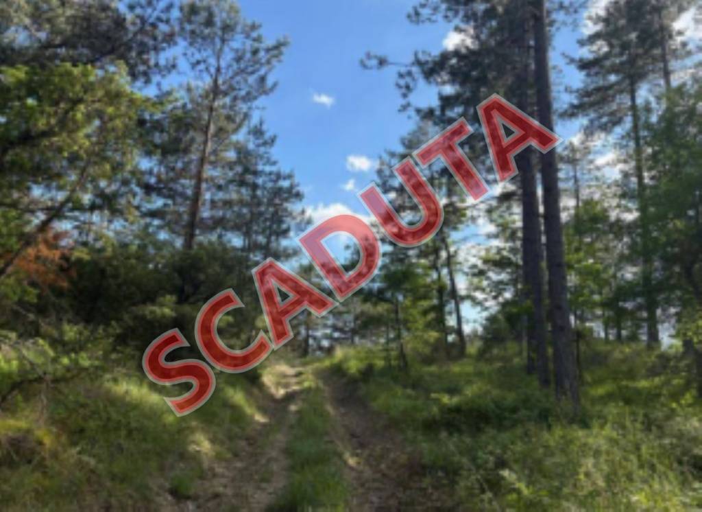 terreno agricolo in vendita a Santa Fiora