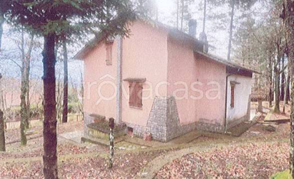 appartamento in vendita a Santa Fiora