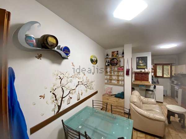 appartamento in vendita a Santa Fiora