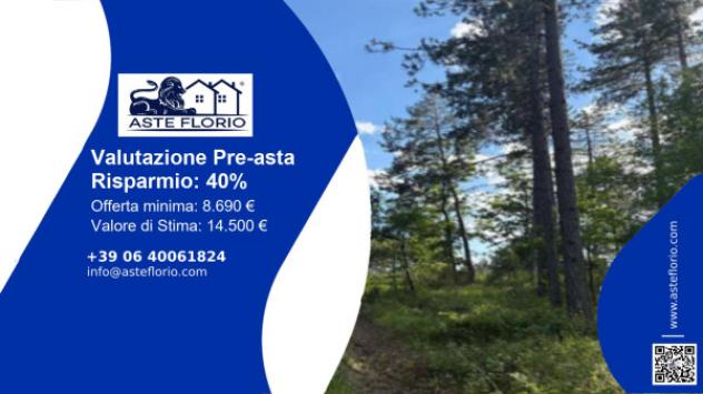 terreno agricolo in vendita a Santa Fiora